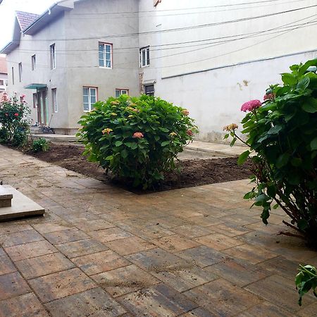 Sorin Up Town Apartment Sibiu Exterior photo