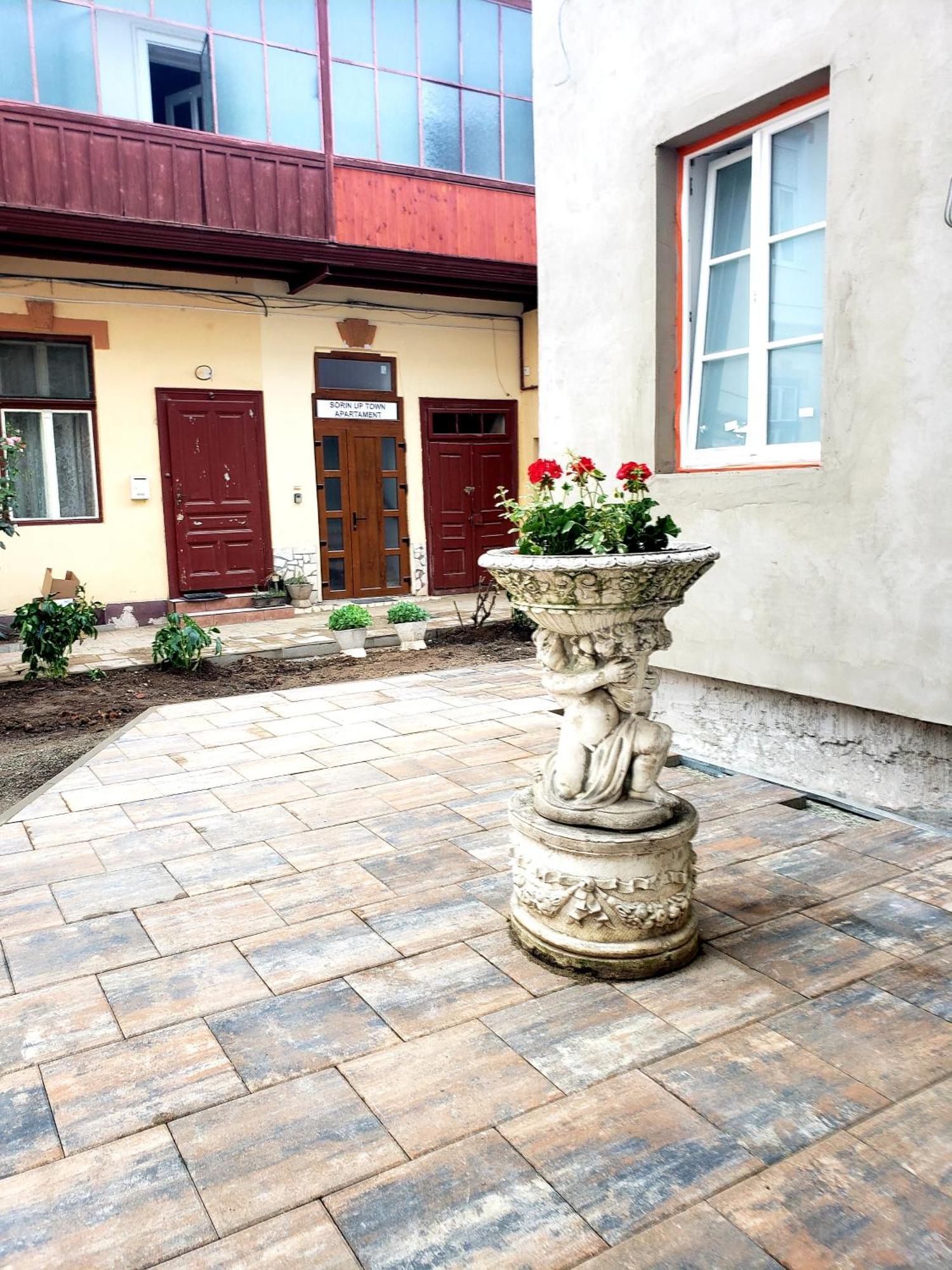 Sorin Up Town Apartment Sibiu Exterior photo